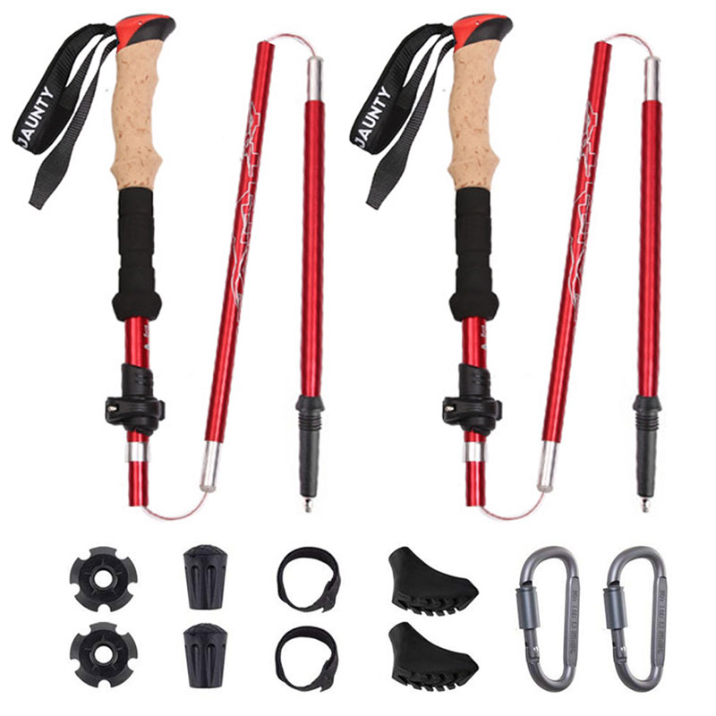 Camping Carbon Trekking Poles